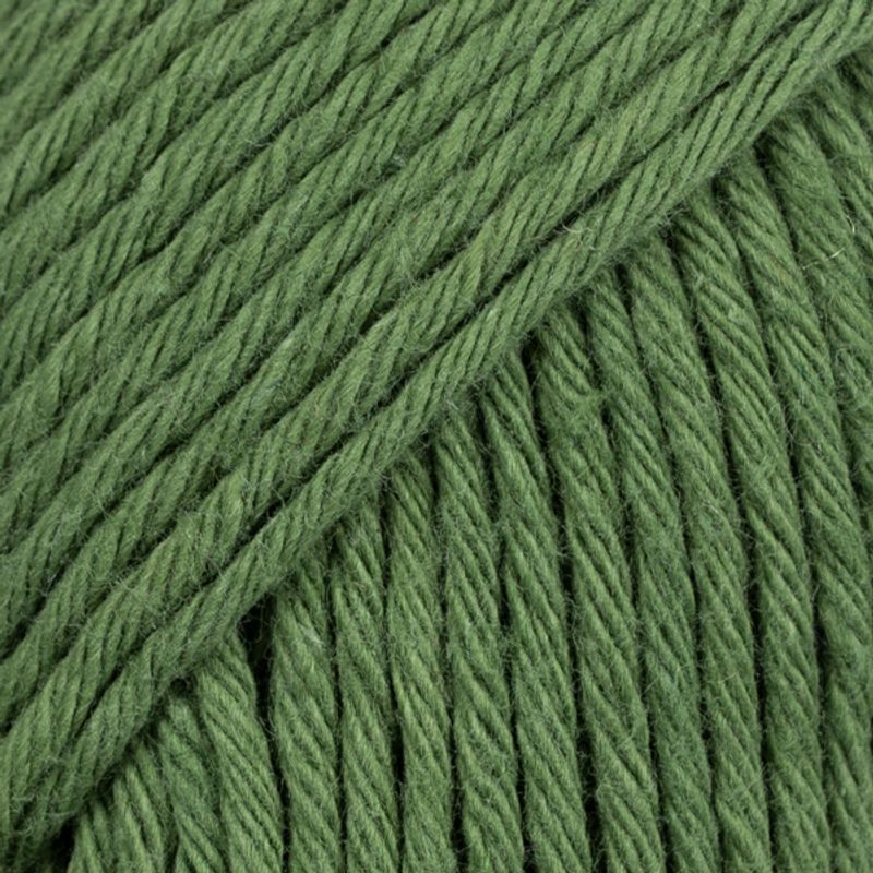 43 Paris skogsgrønn