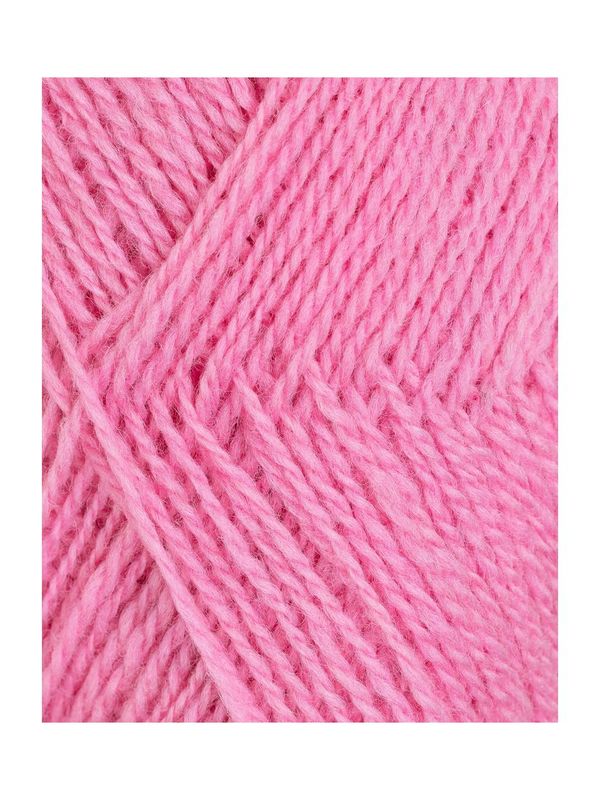 Finull 479 Rosa
