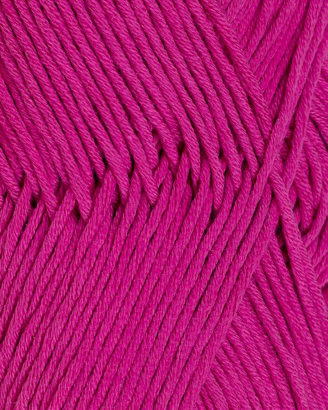 Petunia 348 Cerise